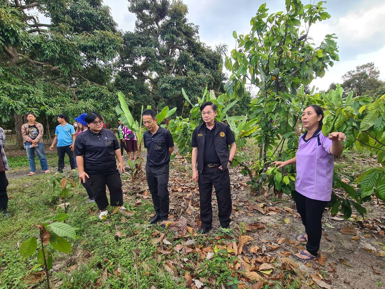 title - ผู้ตรวจราชการกรม ประชุมติดตามผลการดำเนินงานตามแผนการตรวจราชการของ ส.ป.ก. ประจำปีงบประมาณ พ.ศ. 2569 รอบที่ 1 จังหวัดประจวบคีรีขันธ์
